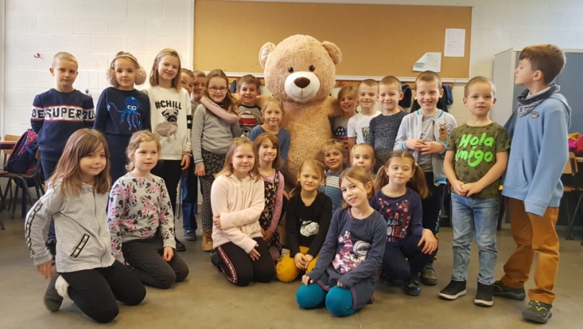 Pomoc zwierzętom w schronisku