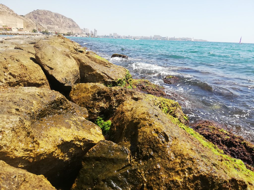 🌞WAKACJE🏄‍♀️🚵‍♂️⛵️🎈