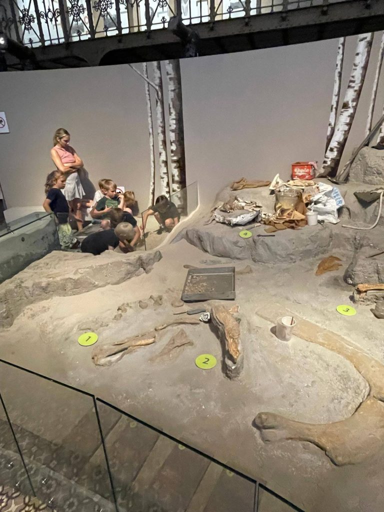 🧭 Od dinozaurów po meteoryty – klasa 1c odkrywa tajemnice natury! 🌍🦖