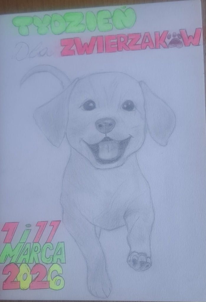 Mały gest, wielka pomoc – szkolna akcja charytatywna 🐶❤️