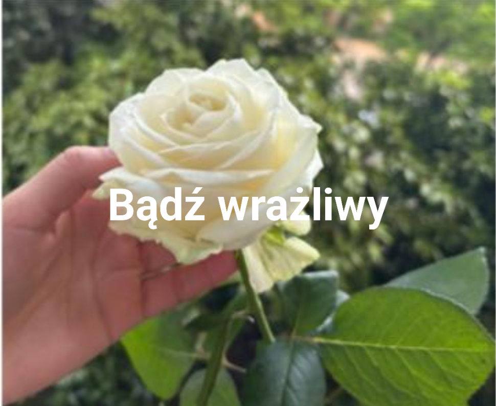 Śladami Pana Cogito 💭📖